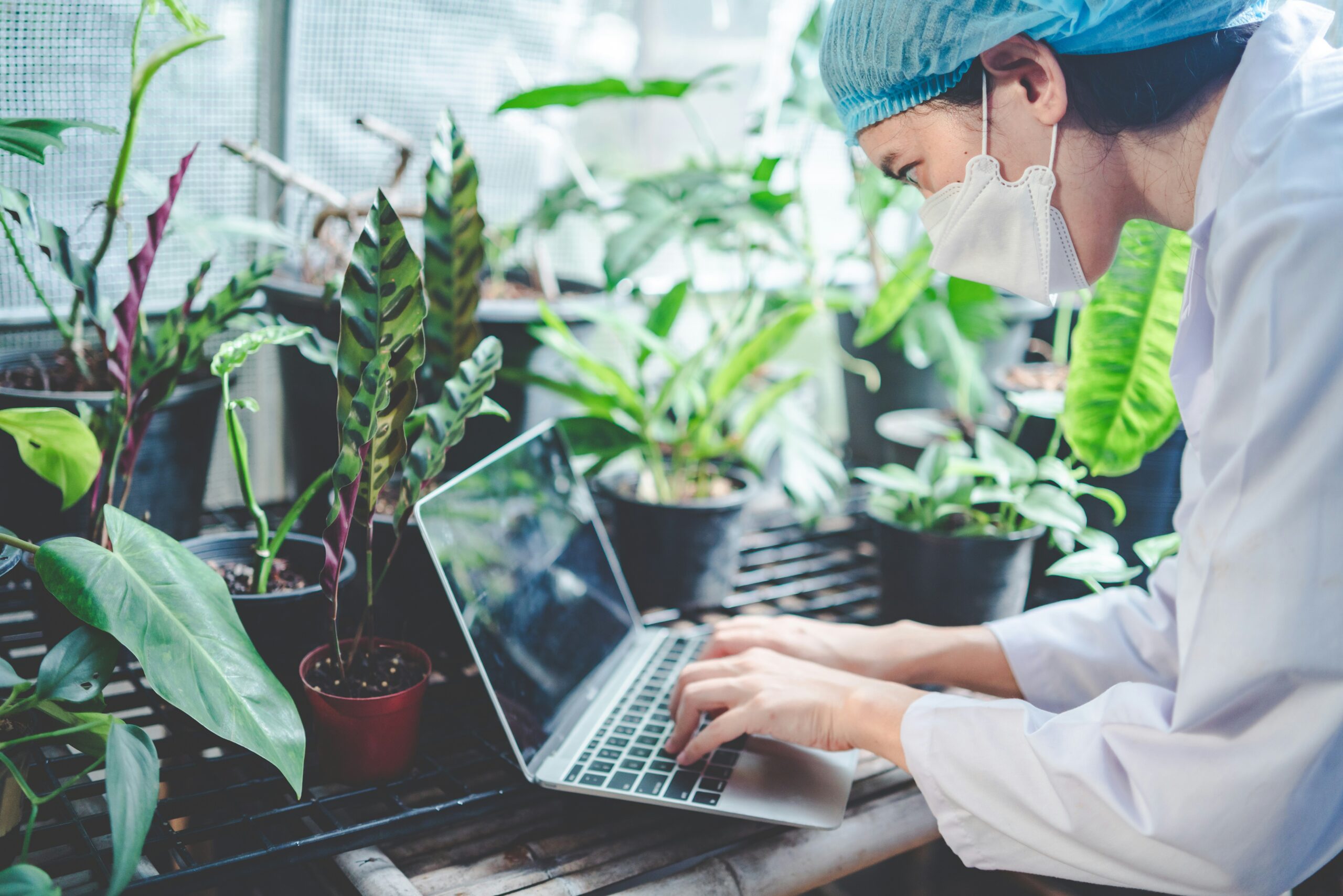 植物生病怎麼辦？黃葉、爛根、蟲害的10大「溫柔診斷」與解方